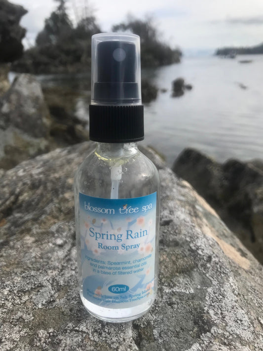 Spring rain room spray