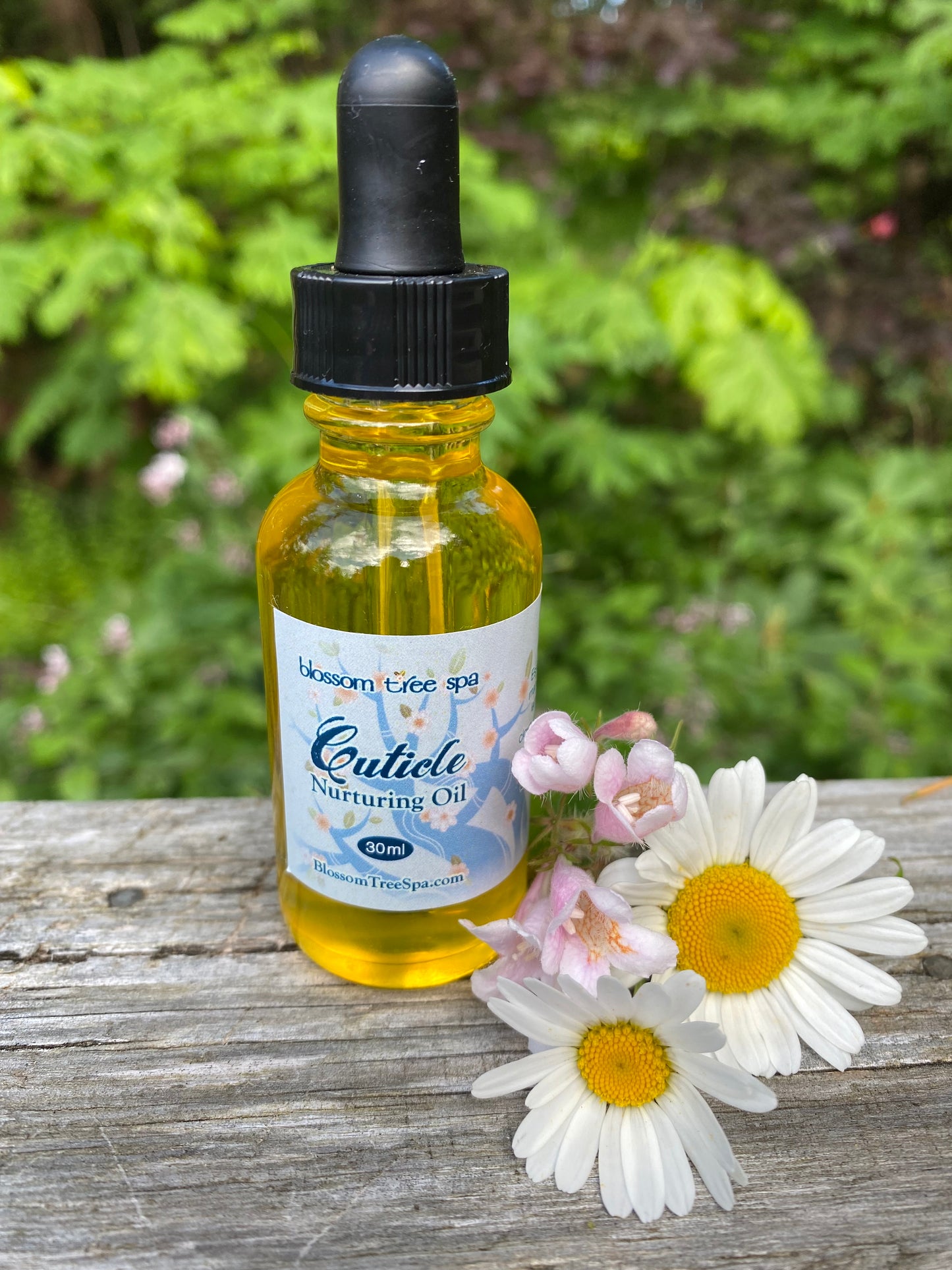 Cuticle nail oil