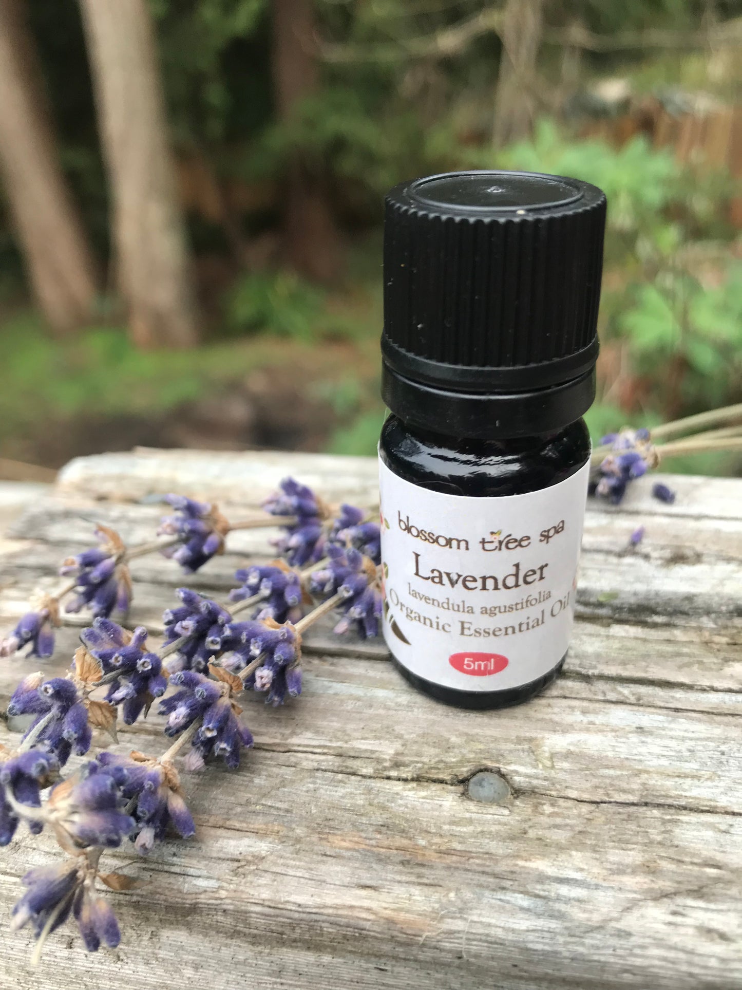 Lavender organic essential oil 5ml