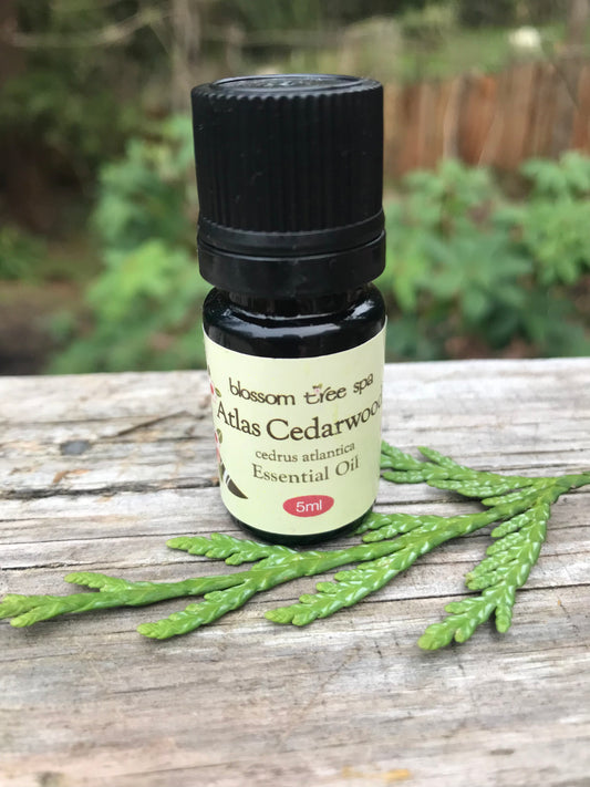 Atlas cedarwood essential oil